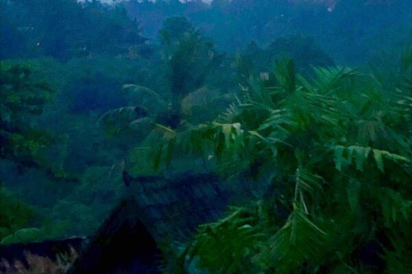 037bf028-0a2f-4a84-9a91-82d87a6bbd00