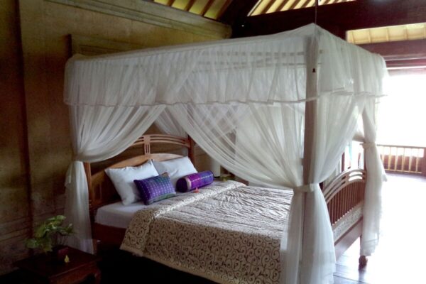 315c0ecd-178c-4cdb-b897-381501fd44b1