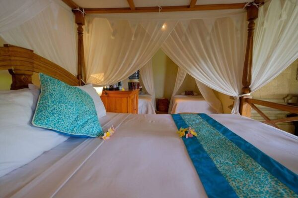 350e43ef-e4ee-4ed0-9150-7a04cfd8ed00