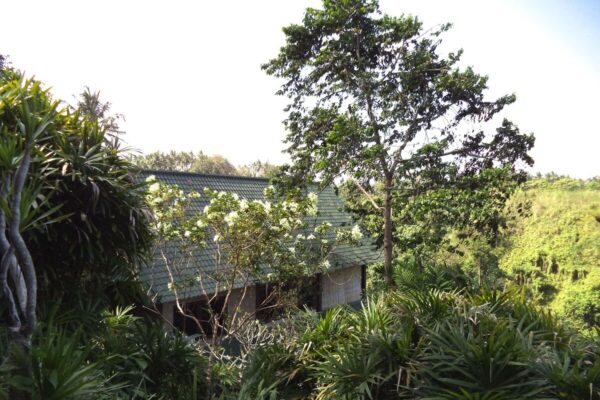 3c13e442-a025-4a1c-80b6-7a6d24edb8eb