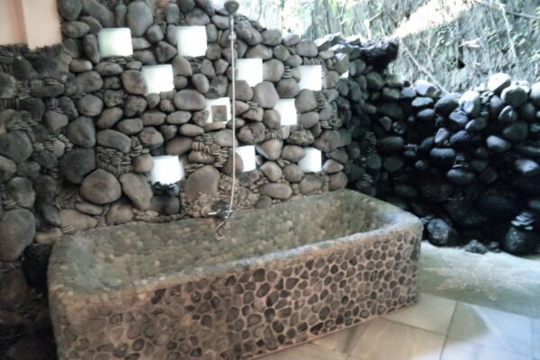 619b0112-49d1-4a4e-ad06-027007d0003e