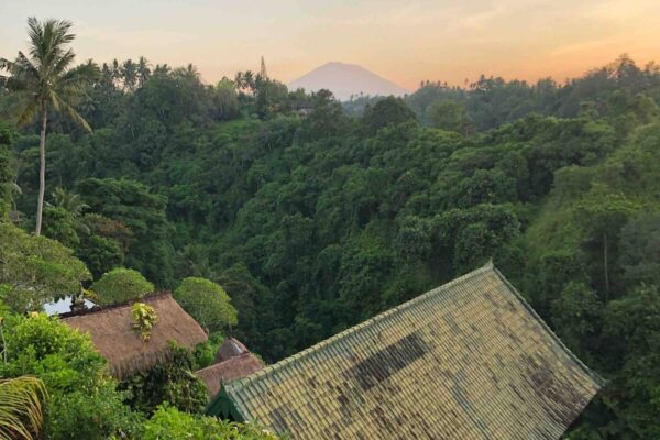 892a50f3-50a2-435b-a337-6751970eae4c