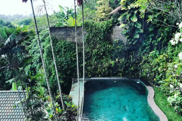 9e05a44f-a617-4f76-955d-33bea74cce28