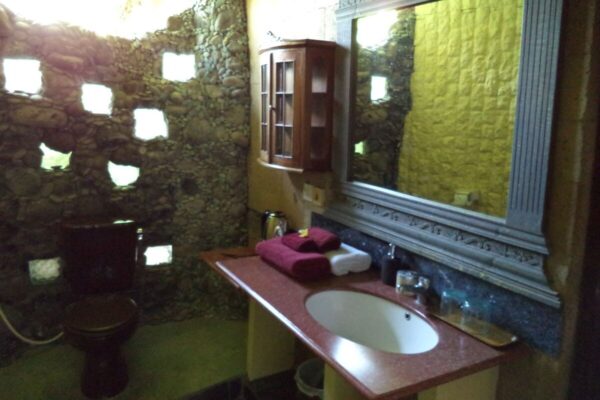 a4e299c6-858d-4fdb-abb6-6e6a977698b5