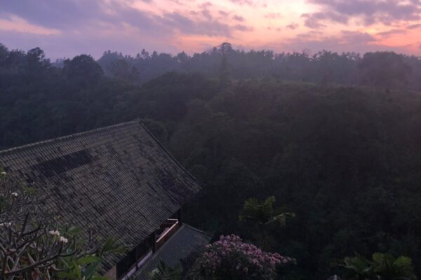 d14e0284-daa0-4280-bc85-a7f9590c00b9